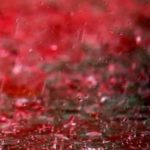 La pioggia di sangue a Cales