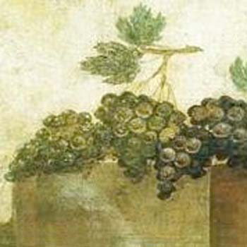 Vino_Cales